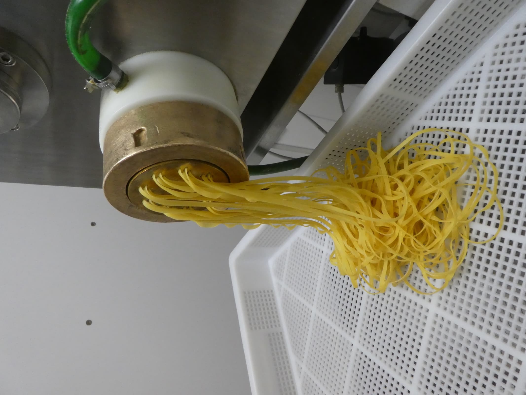 Nudelproduktion bei Heidenreich — Hartweizengrieß